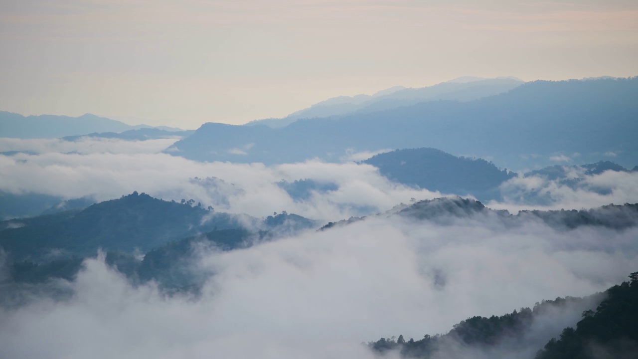 清晨的热带雨林，雾和薄雾笼罩着高山视频素材