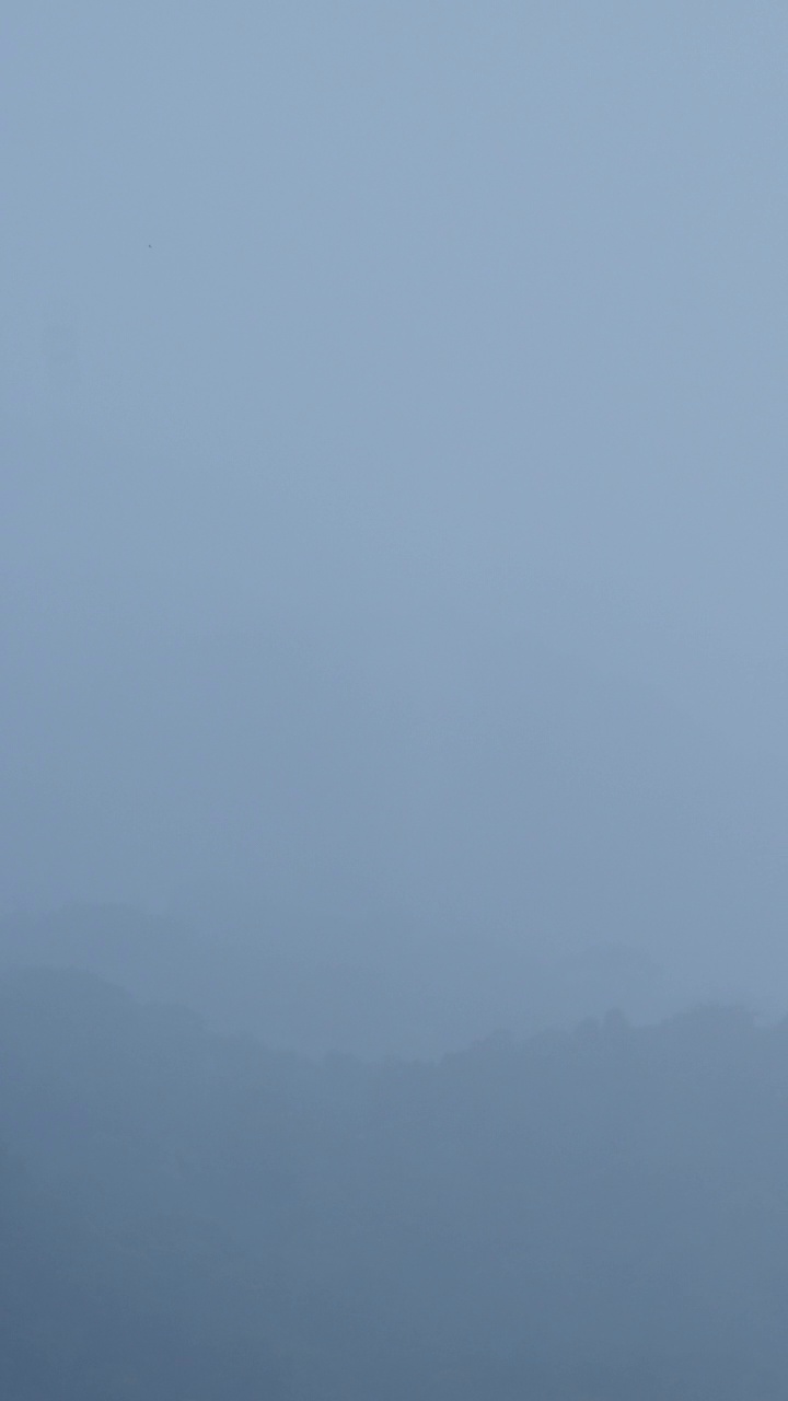 垂直视频时间推移蓬松的雾和云移动顺利在雨天。视频素材