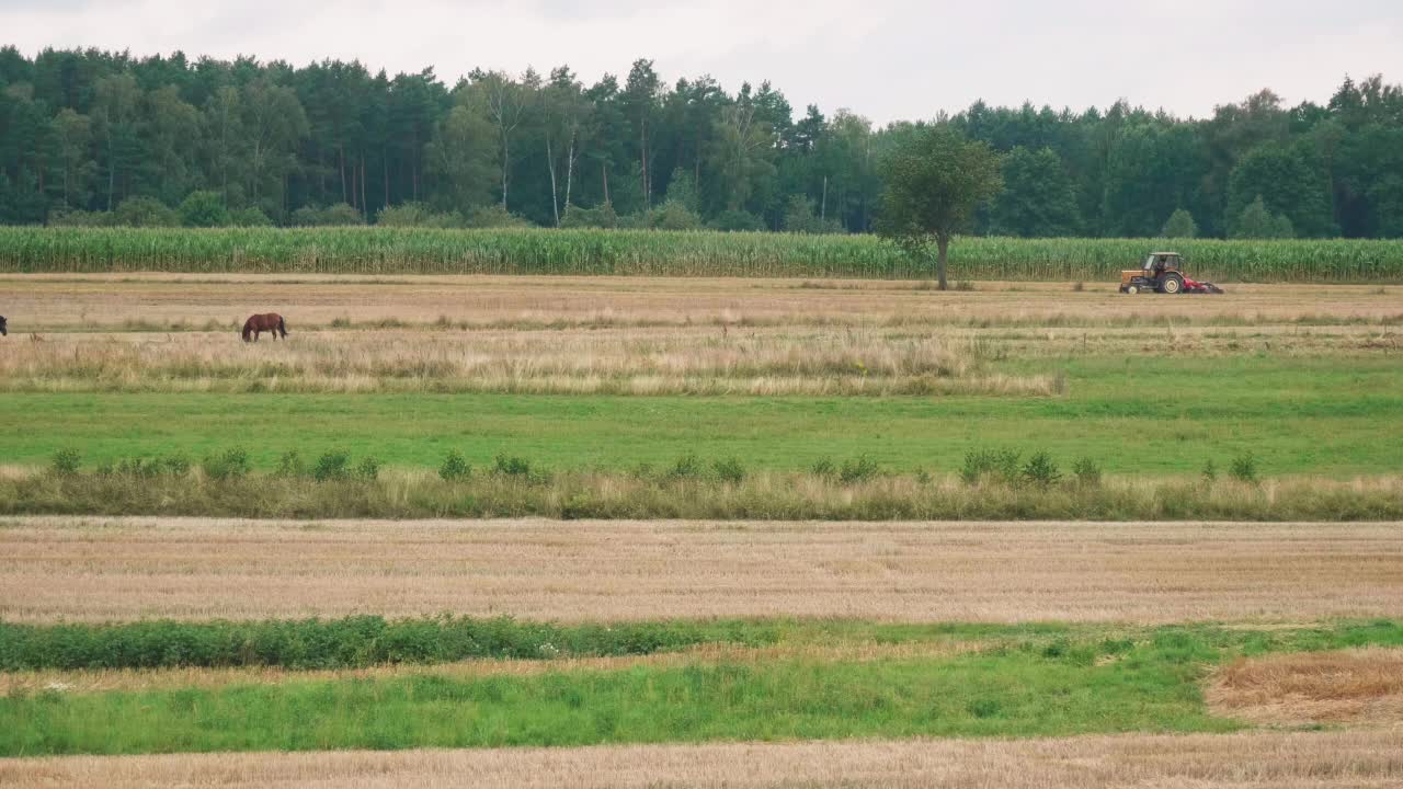 田里的拖拉机。视频下载