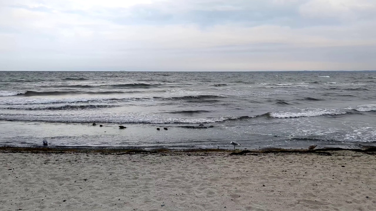 波罗的海和大风天的海滩视频素材