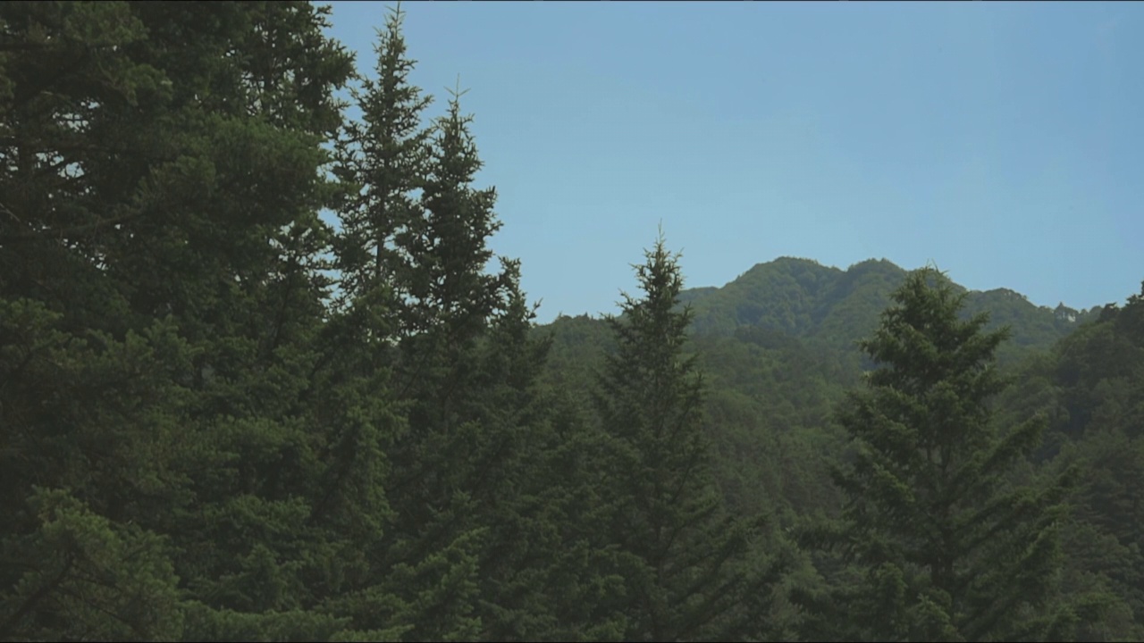 山景/江原道，韩国视频素材