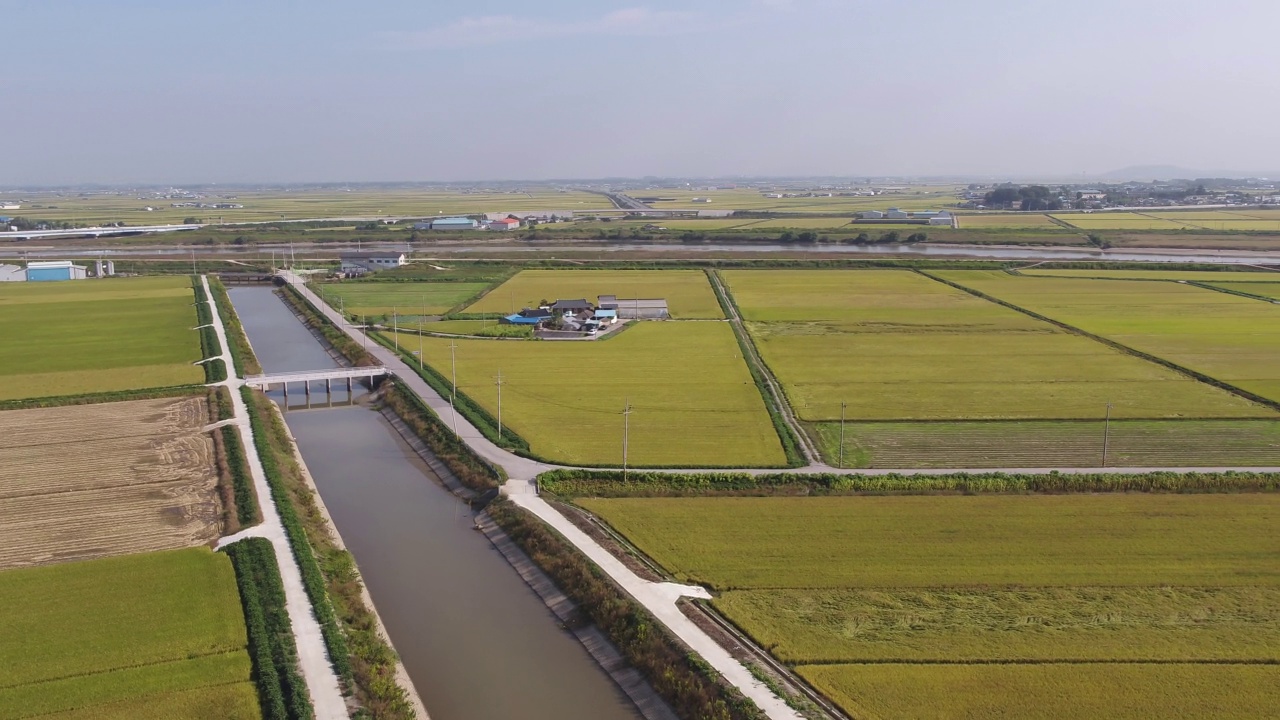 平坦农田的金色田野/韩国全北金济市视频素材