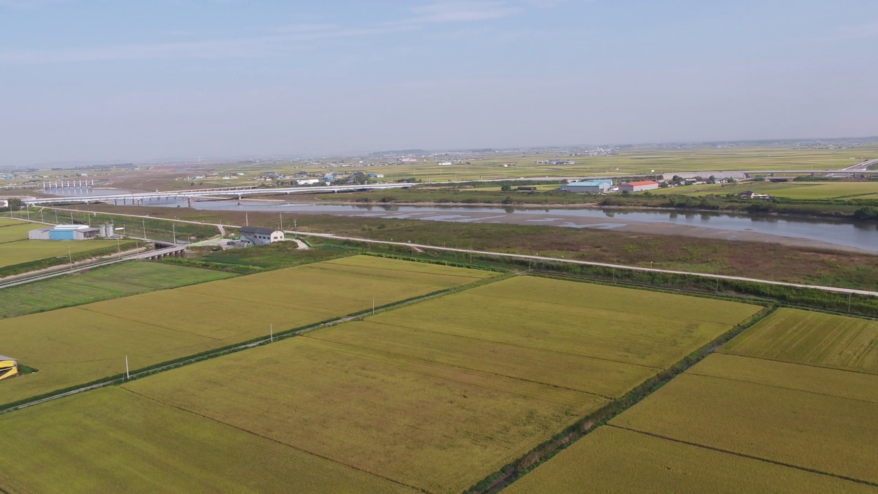 平坦农田的金色田野/韩国全北金济市视频素材