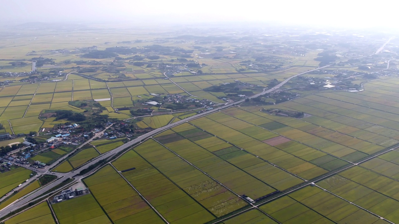 平坦农田的金色田野/韩国全北金济市视频素材