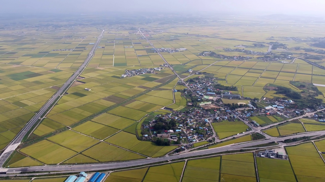 平坦农田的金色田野/韩国全北金济市视频素材