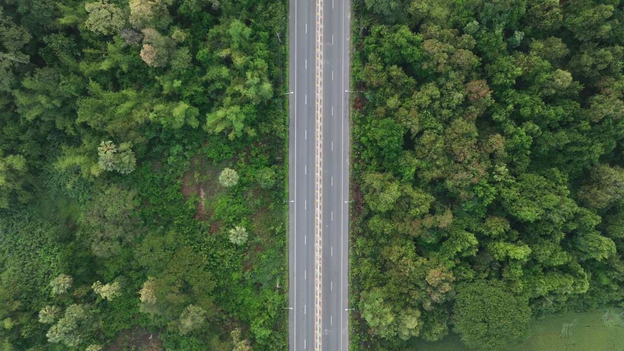 无人机鸟瞰笔直的双车道道路，两旁是郁郁葱葱的绿色林地。视频素材