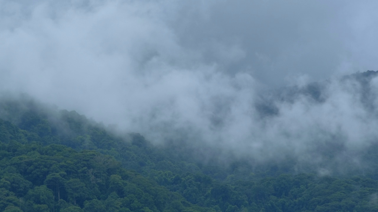 在一个雨天，蓬松的雾和云平稳移动的时间流逝。视频素材