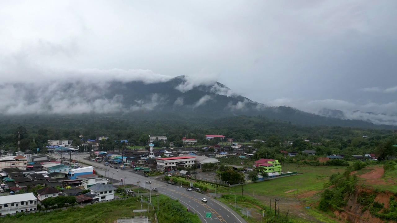 航拍的美丽森林自然景观与道路视频素材