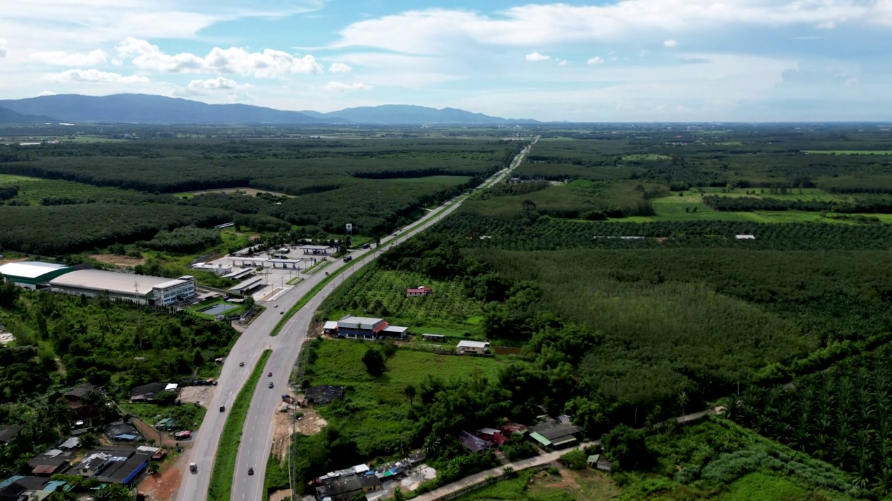 航拍的美丽森林自然景观与道路视频素材