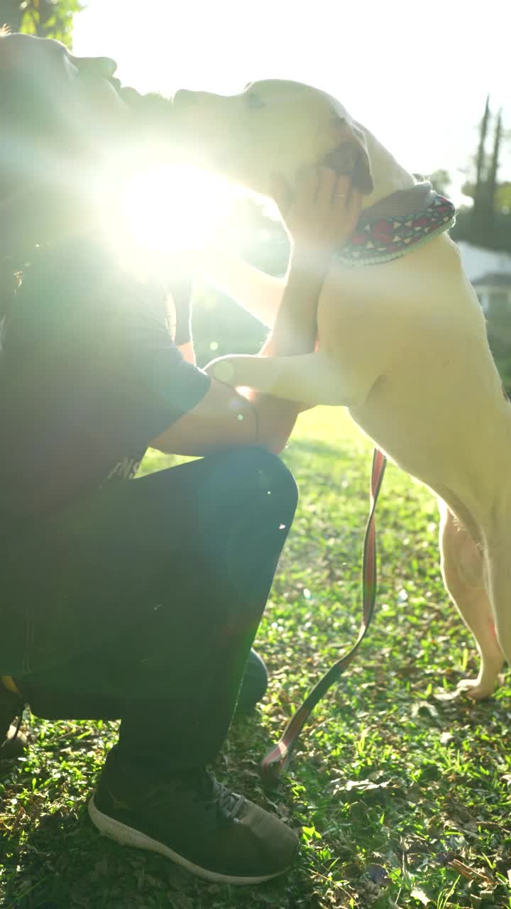 在公园里，比特犬和主人互相示爱视频素材