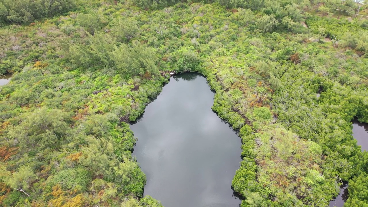 鸟瞰图，一个湖在Ile Aux Cerfs，毛里求斯。视频素材