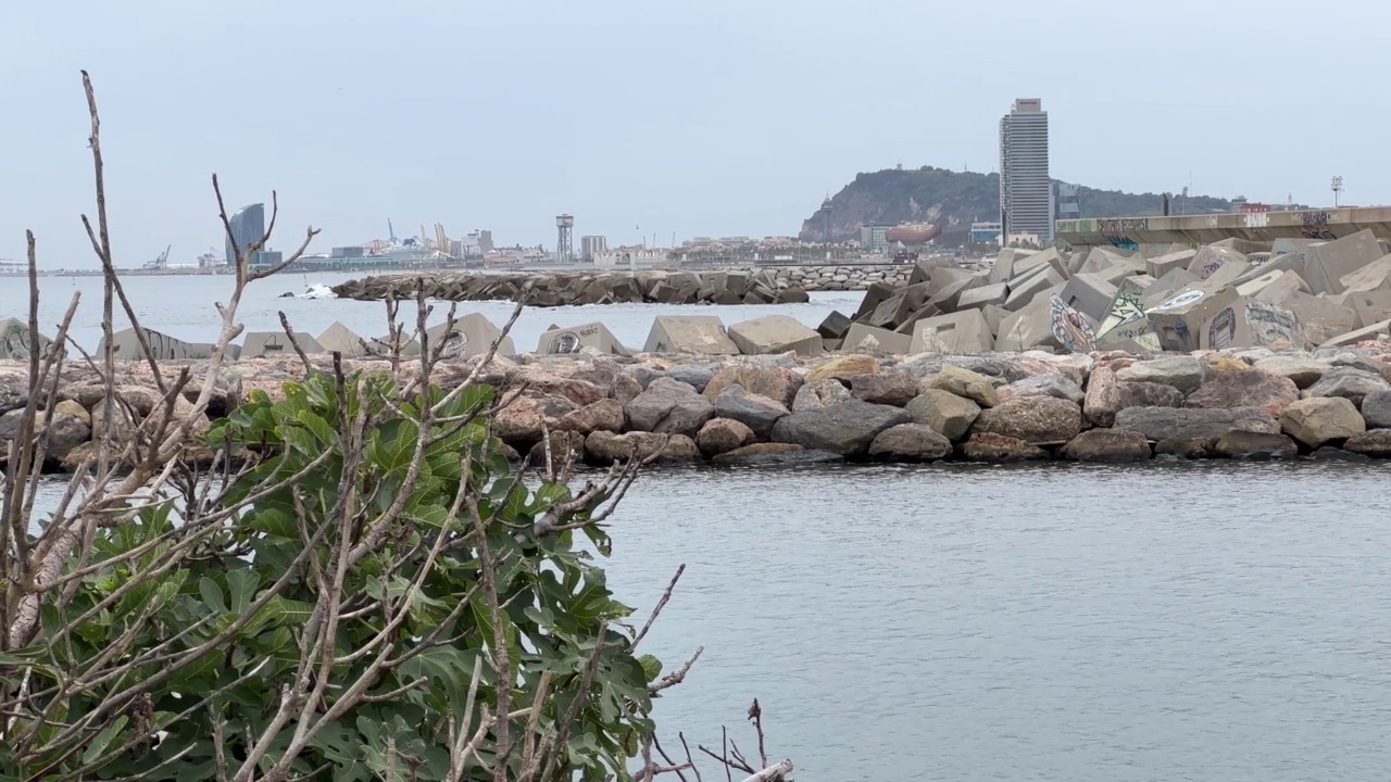 巴塞罗那的海岸线和海港视频素材