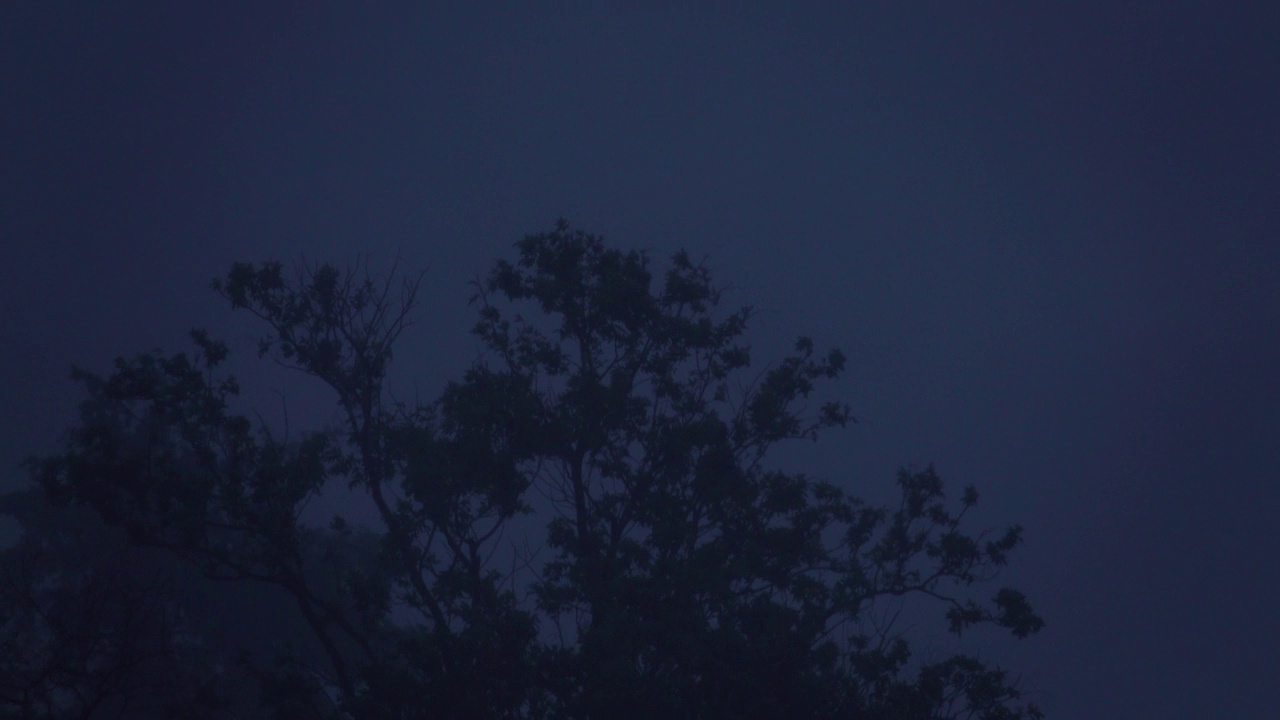 极端气候强降雨视频素材