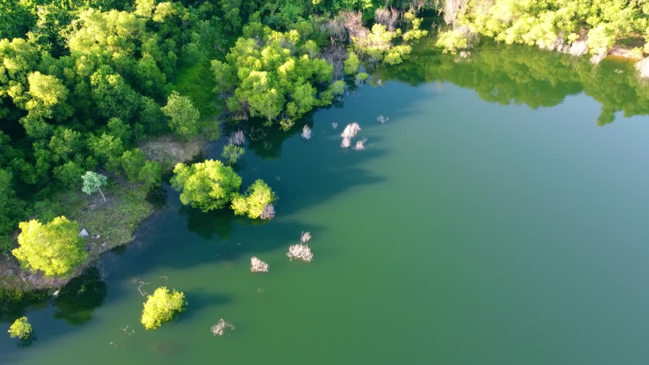 鸟瞰湖与绿色森林视频素材