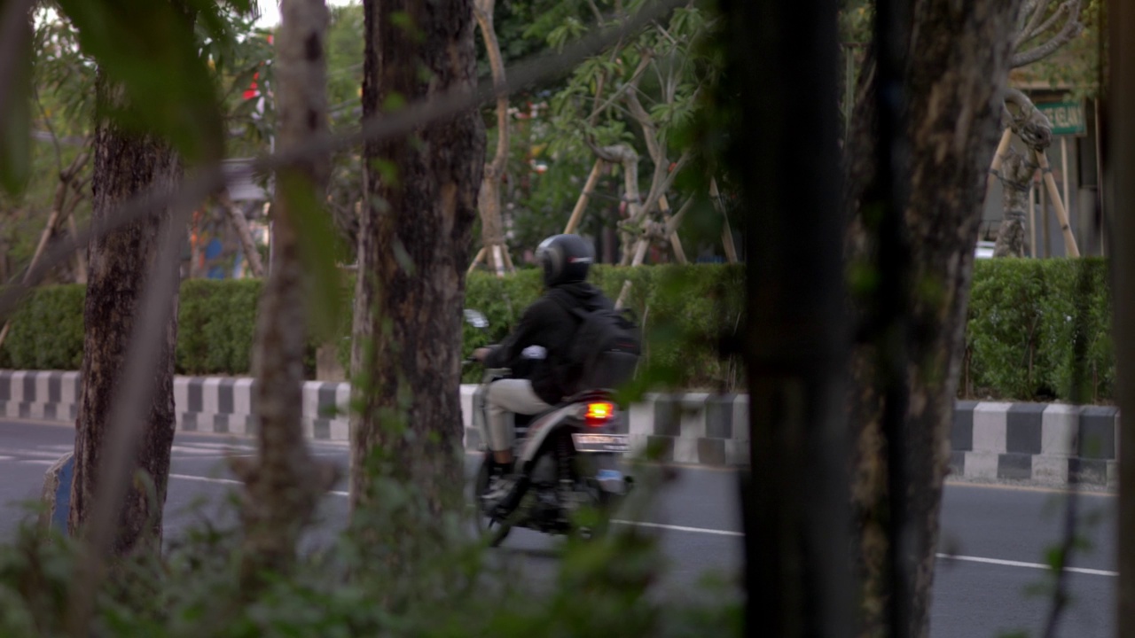 树木繁茂的繁忙道路视频素材