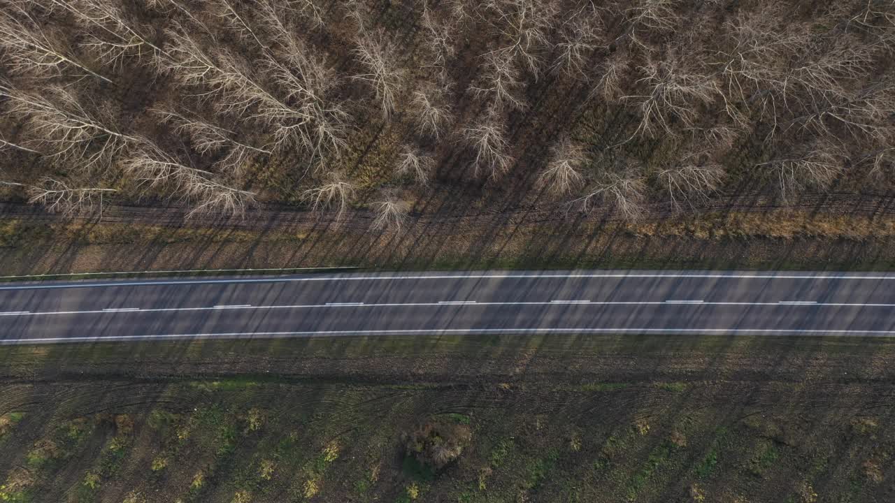 在秋日日落的森林中，半卡车、货车和汽车在路上行驶视频素材