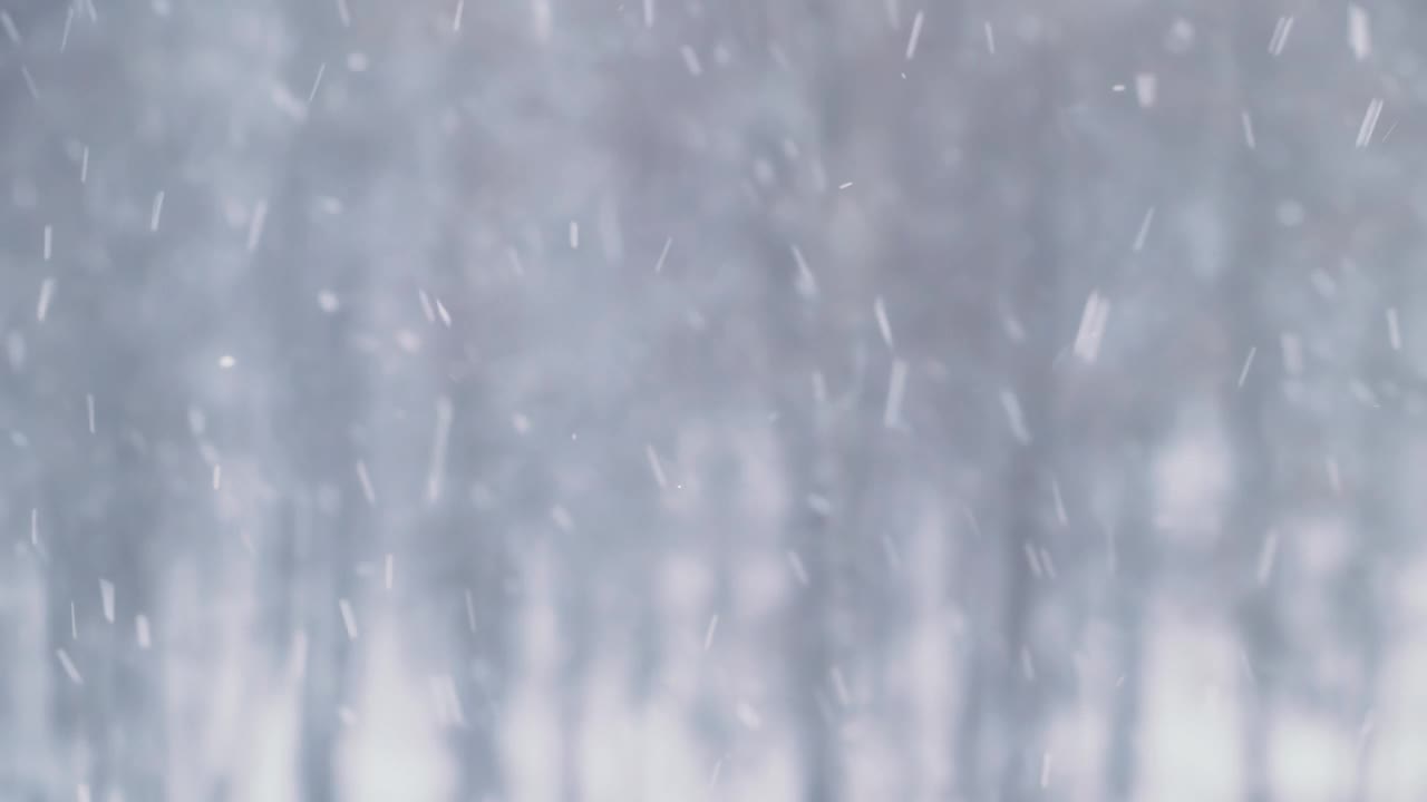 降雪的特写。冬天的暴风雪。雪花落在散景背景上。视频下载