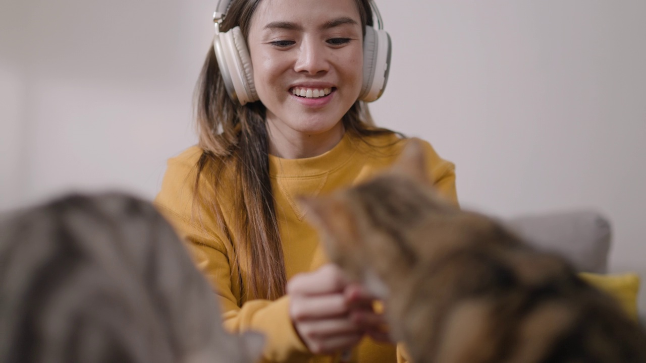 年轻女子戴着耳机和她的可爱的猫在家里的客厅用手机为宠物救援捐款。穿黄色卫衣的女孩用智能手机进行视频通话，自拍，在社交网站上分享数据视频素材