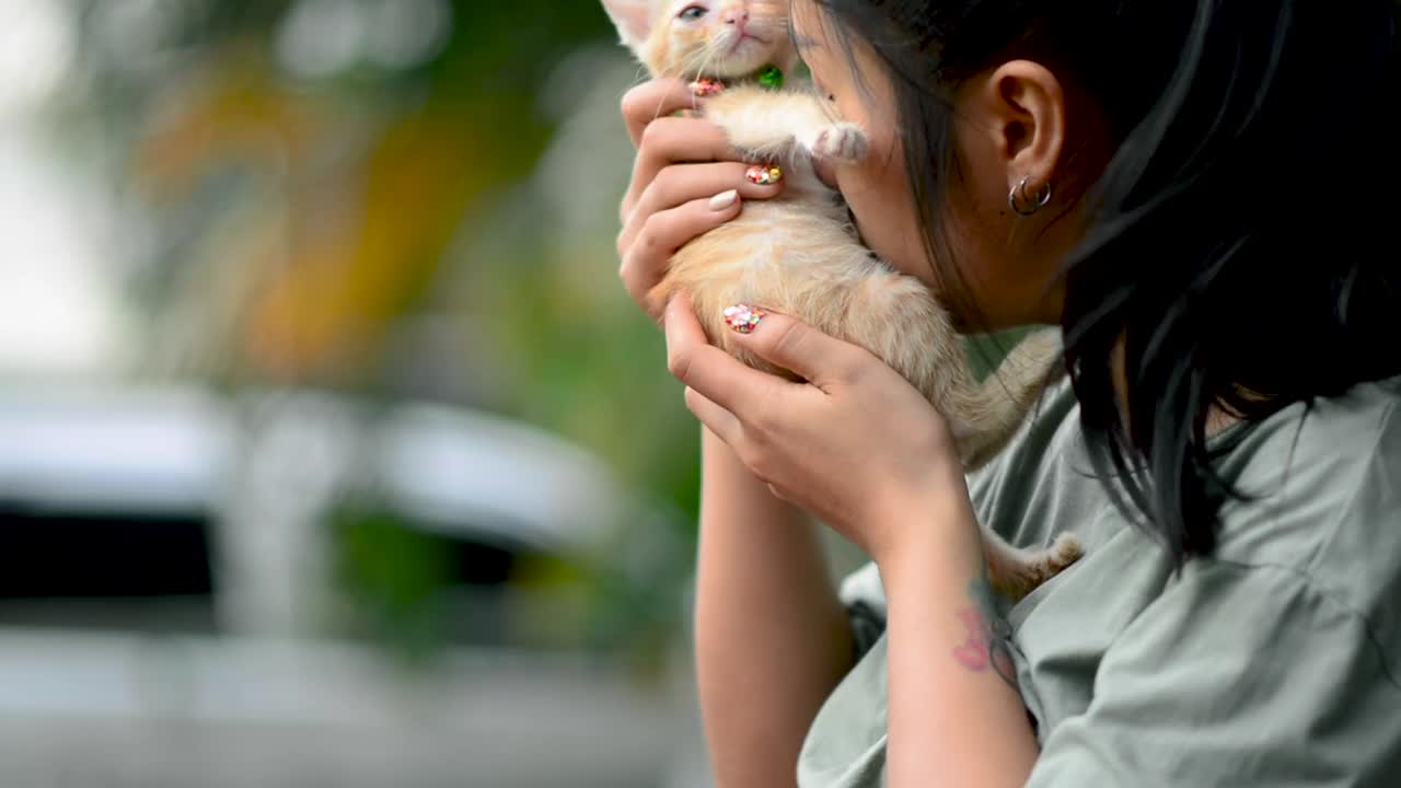 人与猫之间的爱，爱视频素材