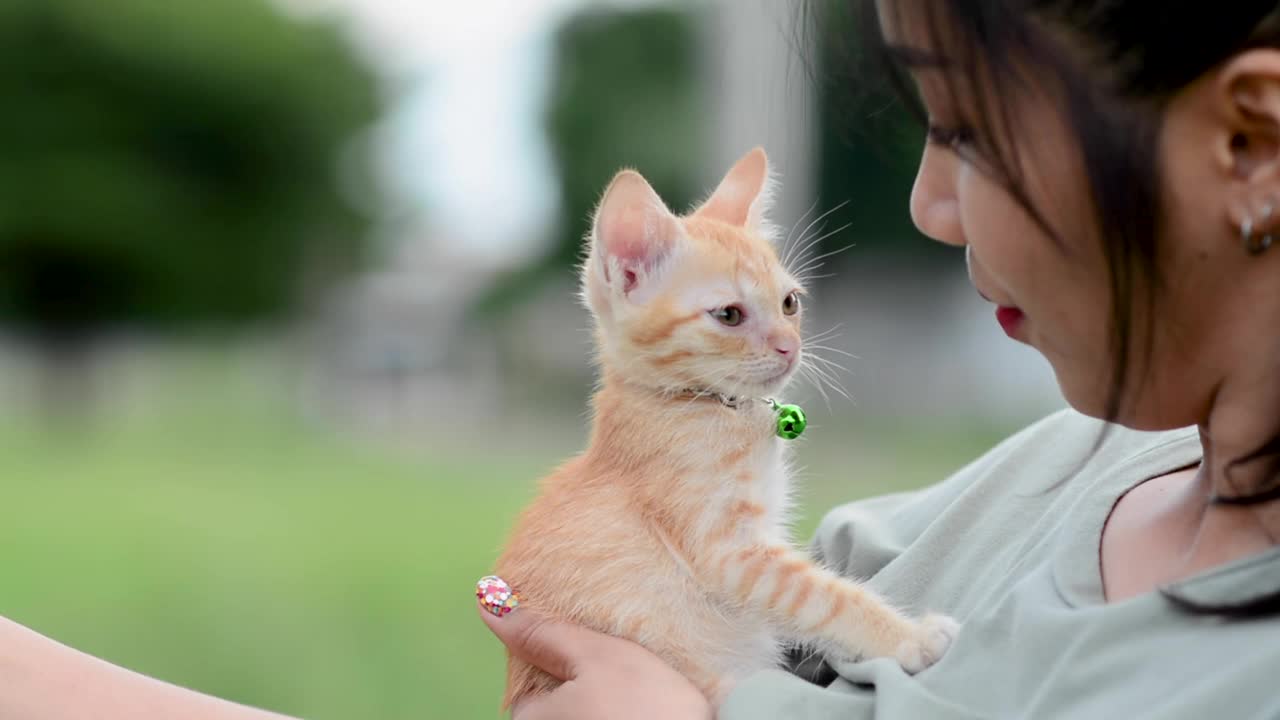 人与猫之间的爱，爱视频素材