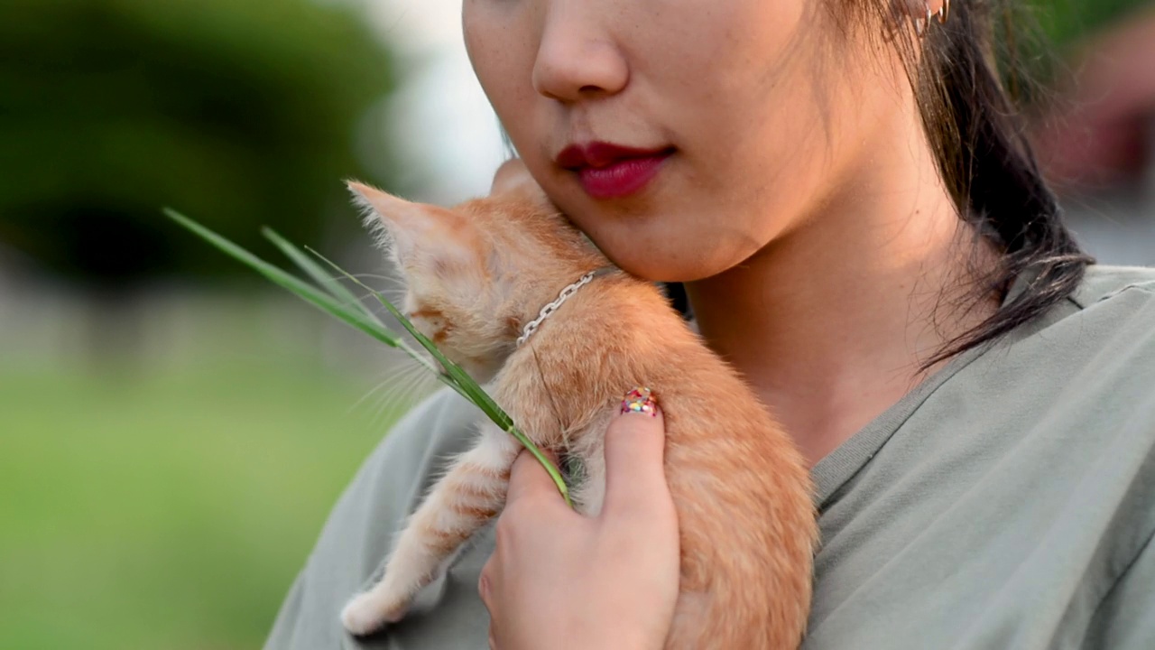 人与猫之间的爱，爱视频素材