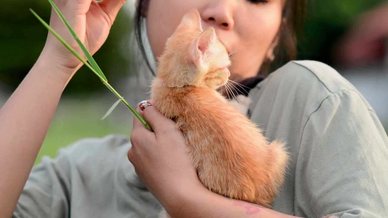 人与猫之间的爱，爱视频素材