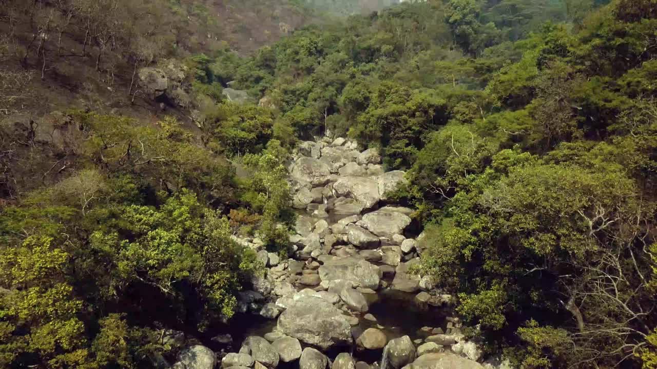 山林鸟瞰图视频素材