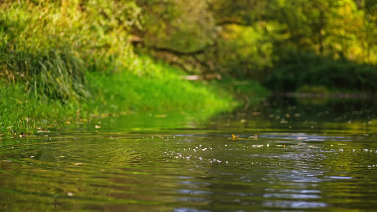 石头慢慢地落在水里视频素材