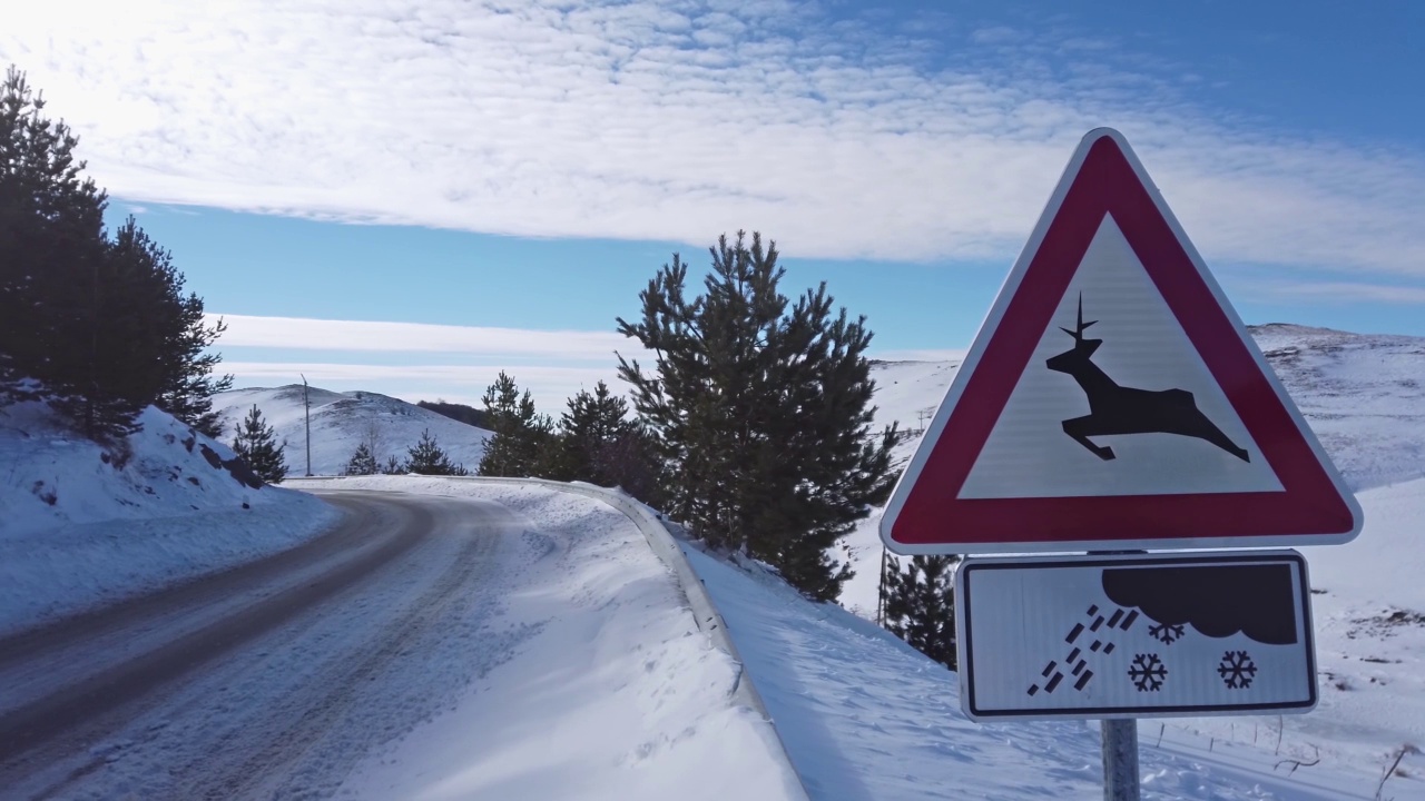 降雪路面滑溜危险和路面动物危险警告标志，白天冬季现场视频素材