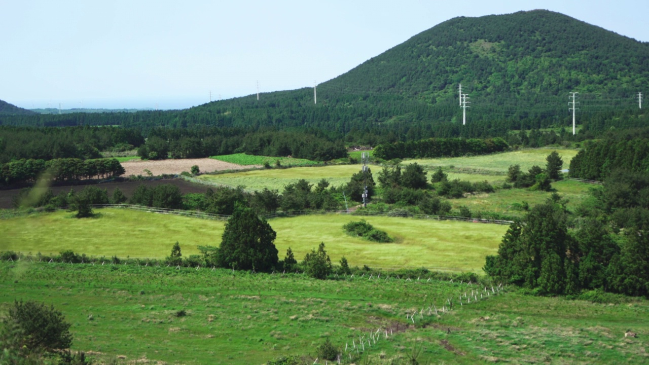 农田和寄生锥的风景/济州岛，韩国视频素材