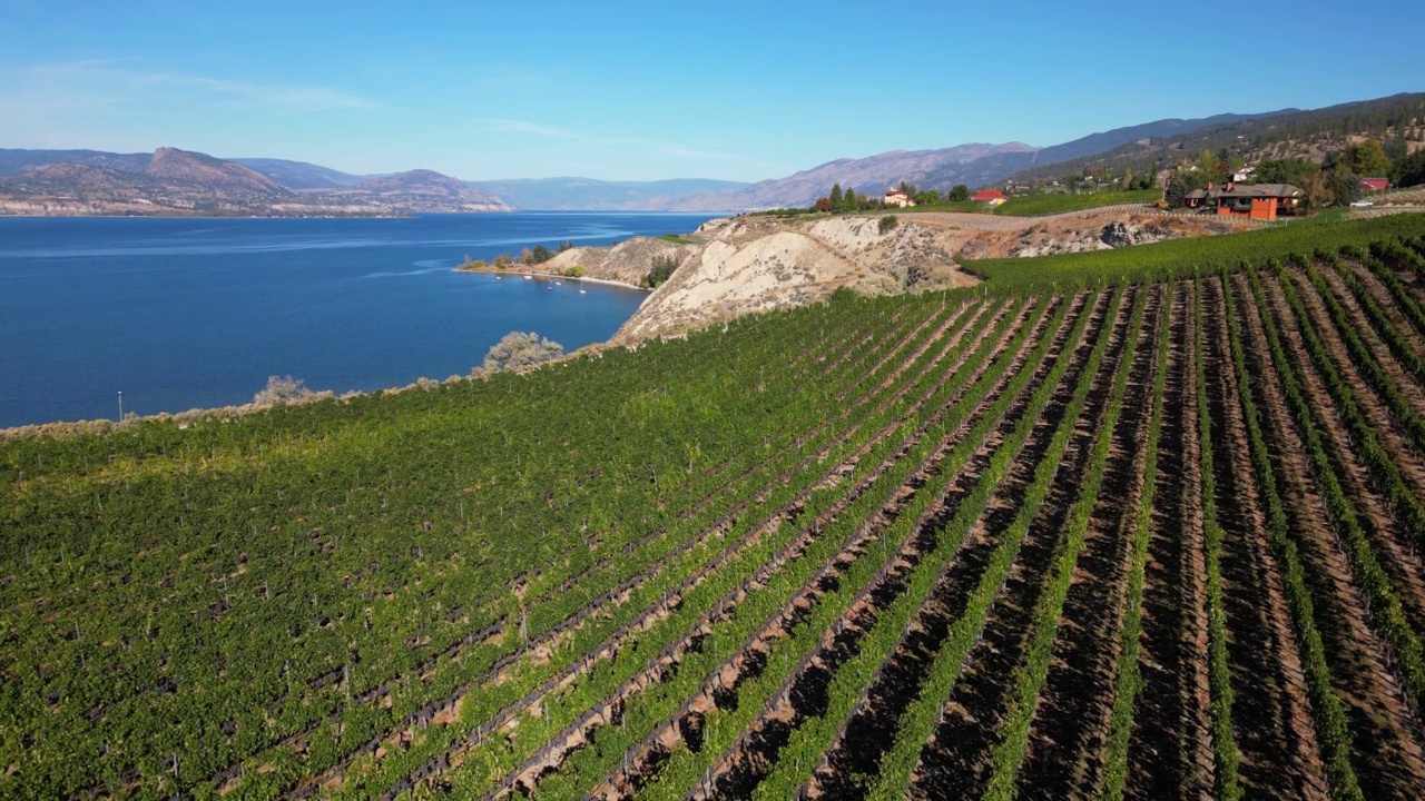 Naramata Bench Winery葡萄园Penticton Okanagan山谷视频素材