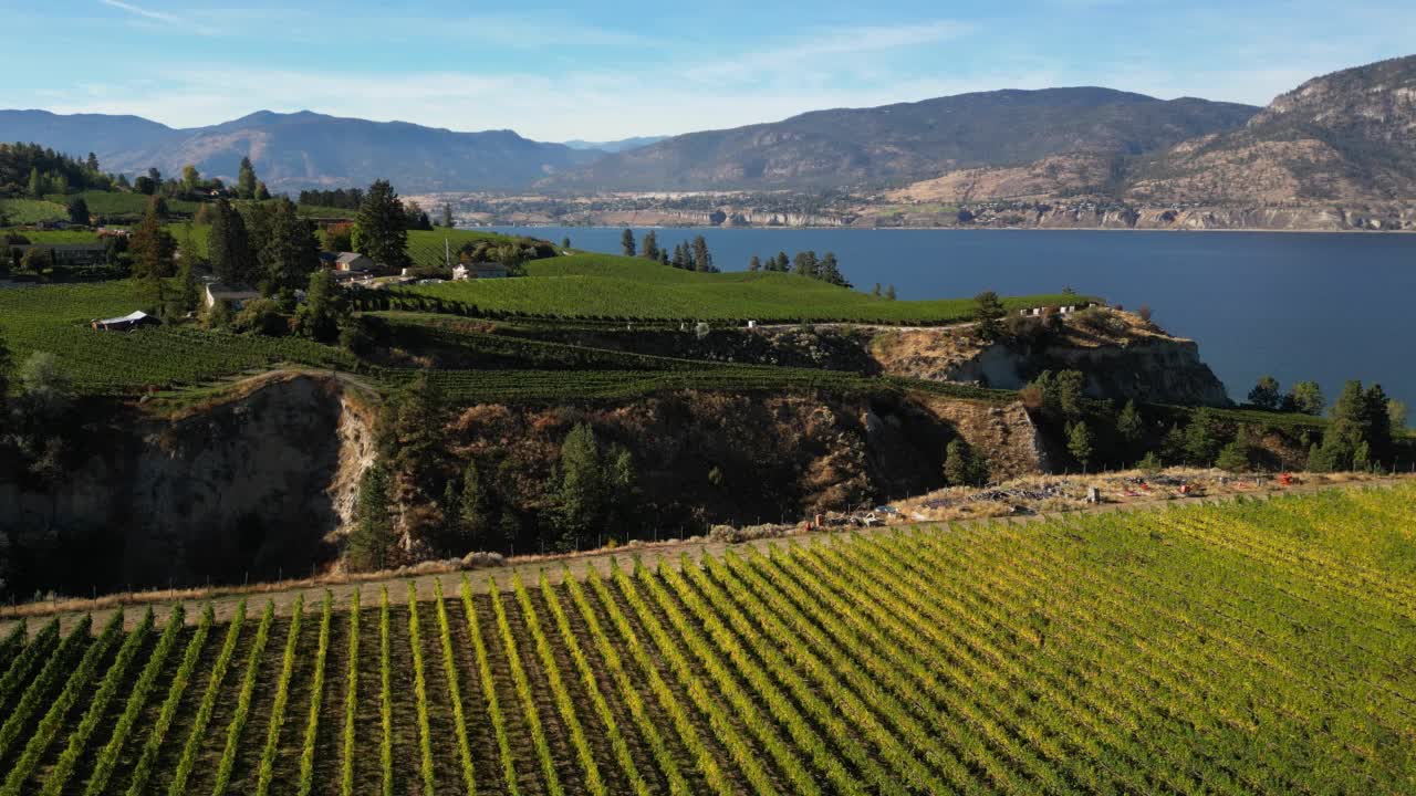 Naramata Bench Winery葡萄园Penticton Okanagan山谷视频素材