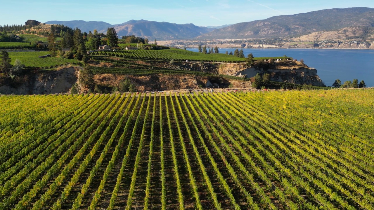 Naramata Bench Winery葡萄园Penticton Okanagan山谷视频素材