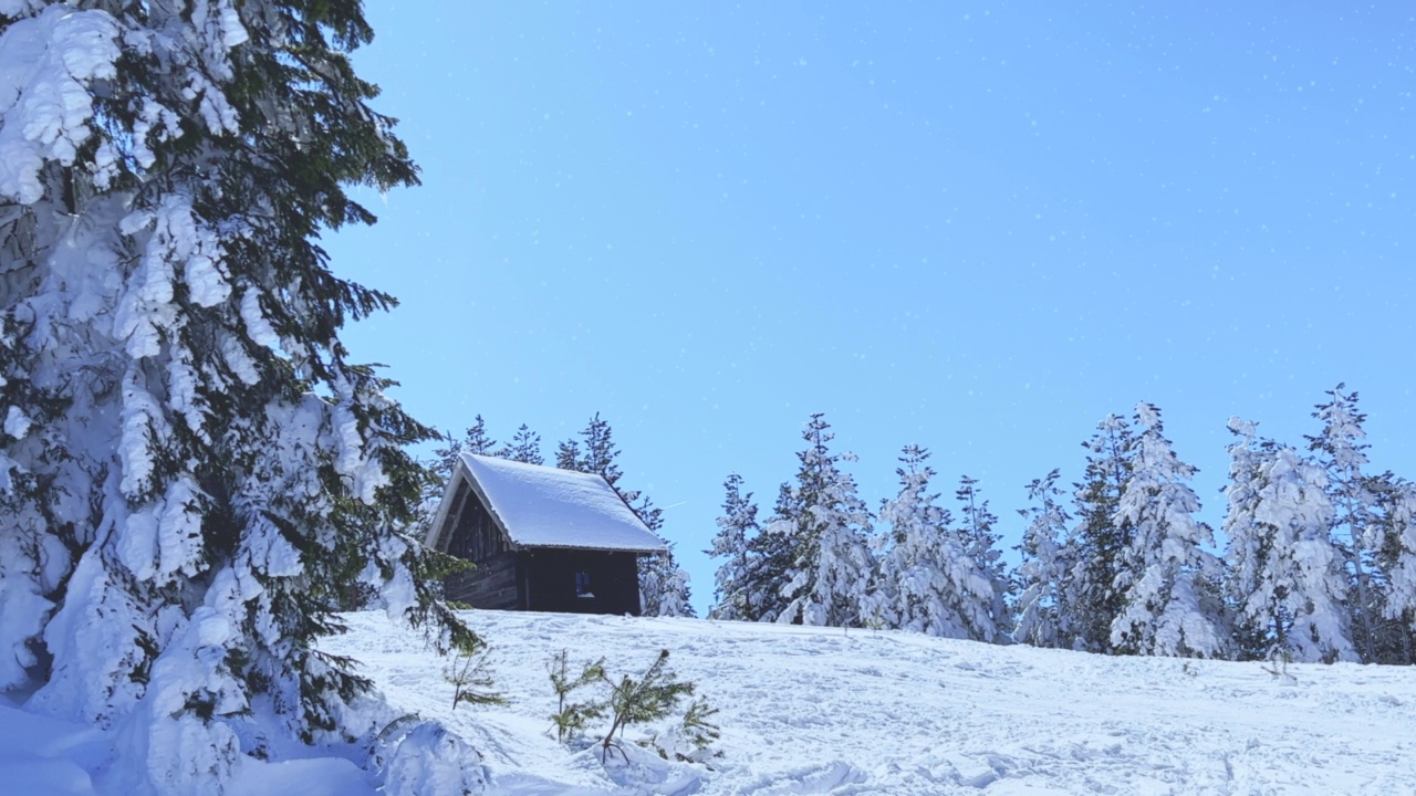 在兹拉蒂博的松树林地里的山间小屋，冬天被白雪覆盖视频素材