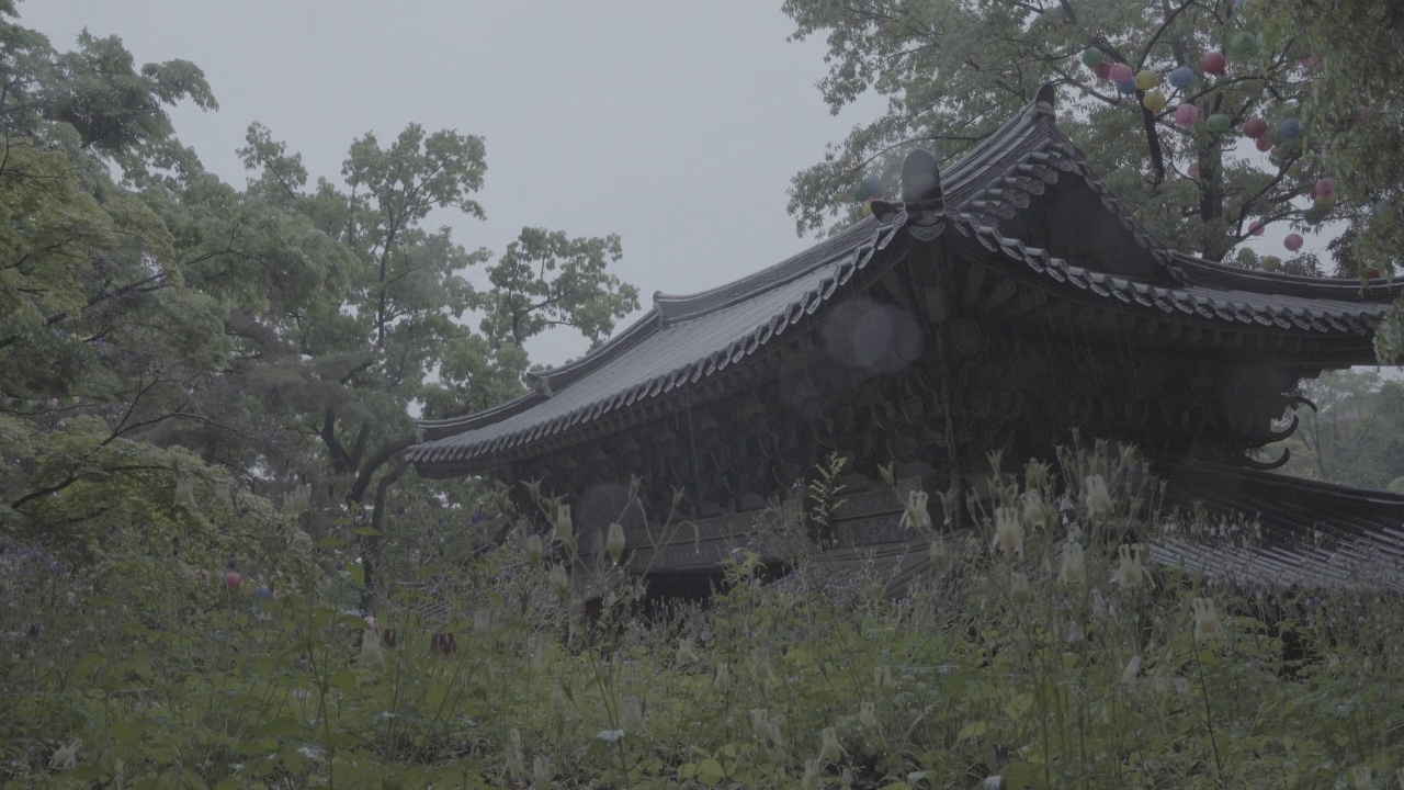 雨天的吉僧寺/韩国首尔城北区视频素材