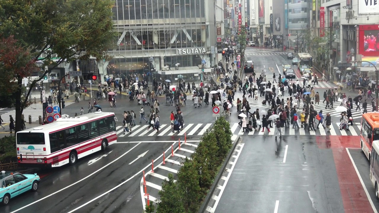 日本东京涩谷十字路口。视频素材