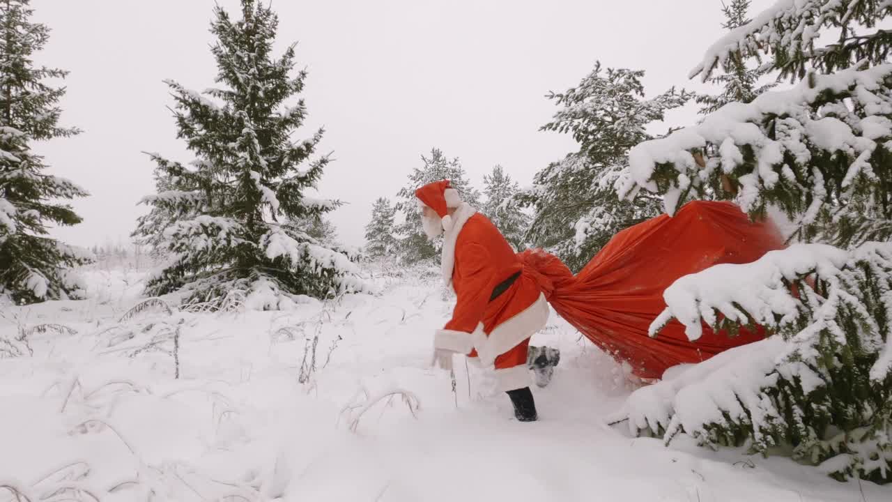 圣诞老人拉着巨大的袋子在冬季森林的雪堆中行走。视频素材