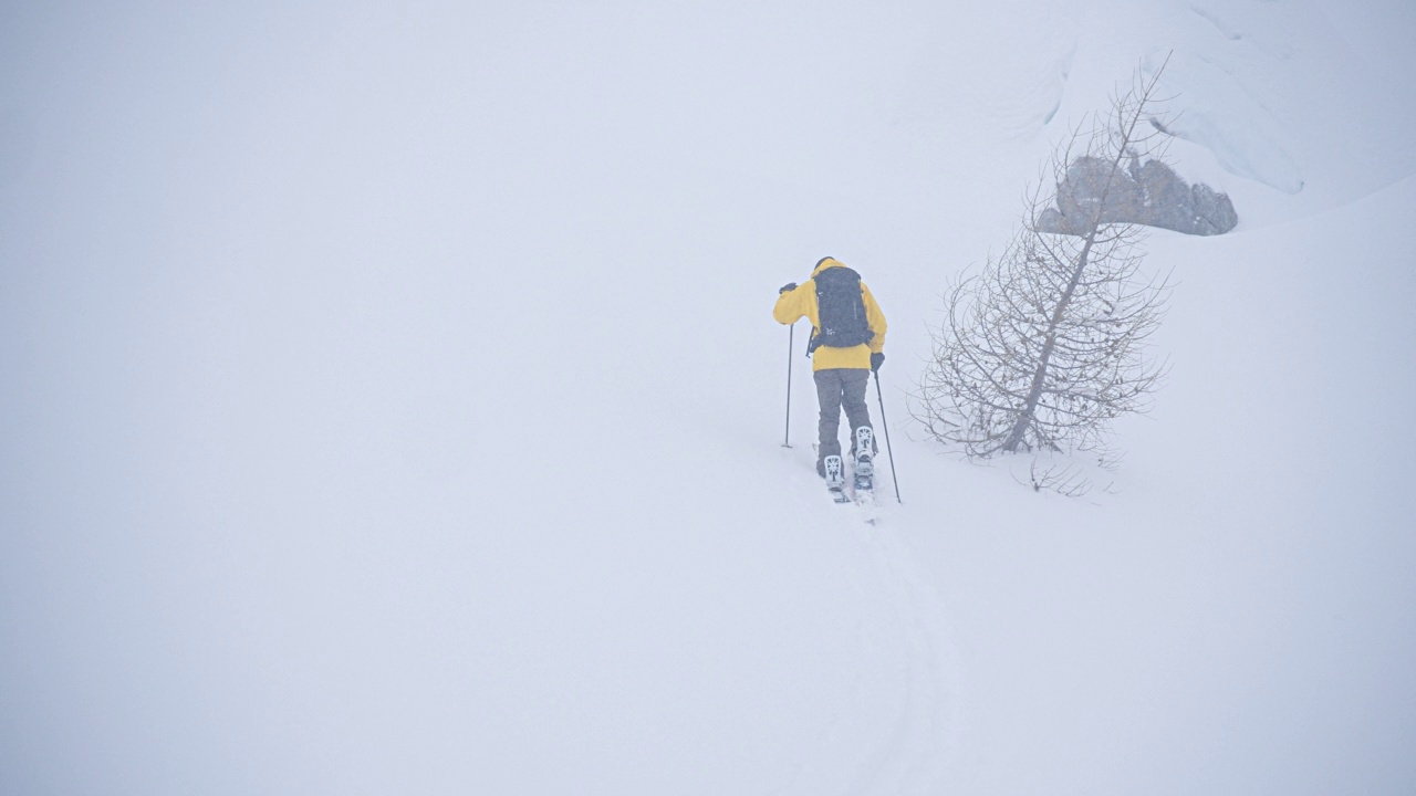 阿尔卑斯山极端天气下的滑雪旅行视频素材