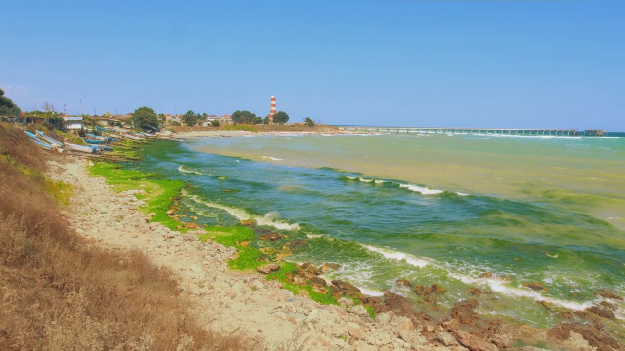 海岸的海景覆盖着很多海草、沙滩草和帆船视频素材