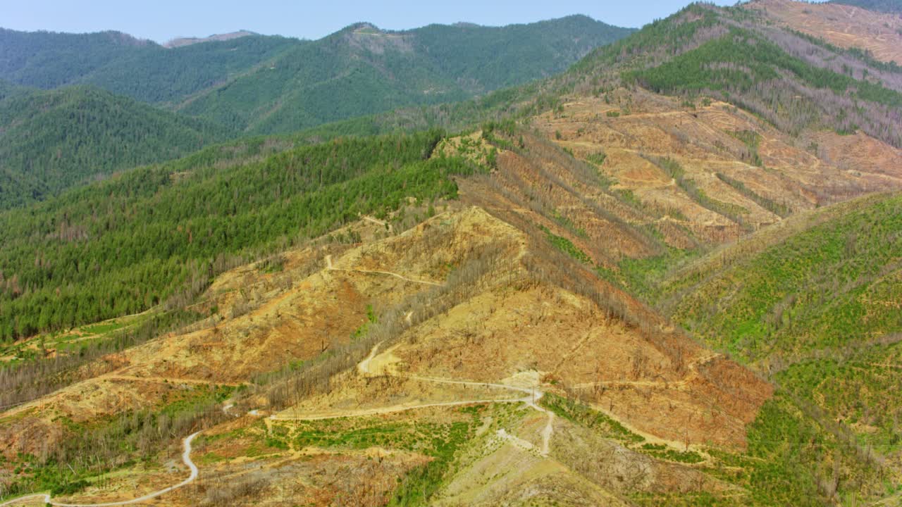 美国北加州的空中森林被野火烧毁视频素材