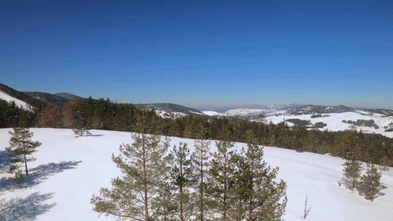 冬天美丽的兹拉蒂博山景观的高角视图，阳光明媚的日子里，积雪覆盖的小山和松树视频素材