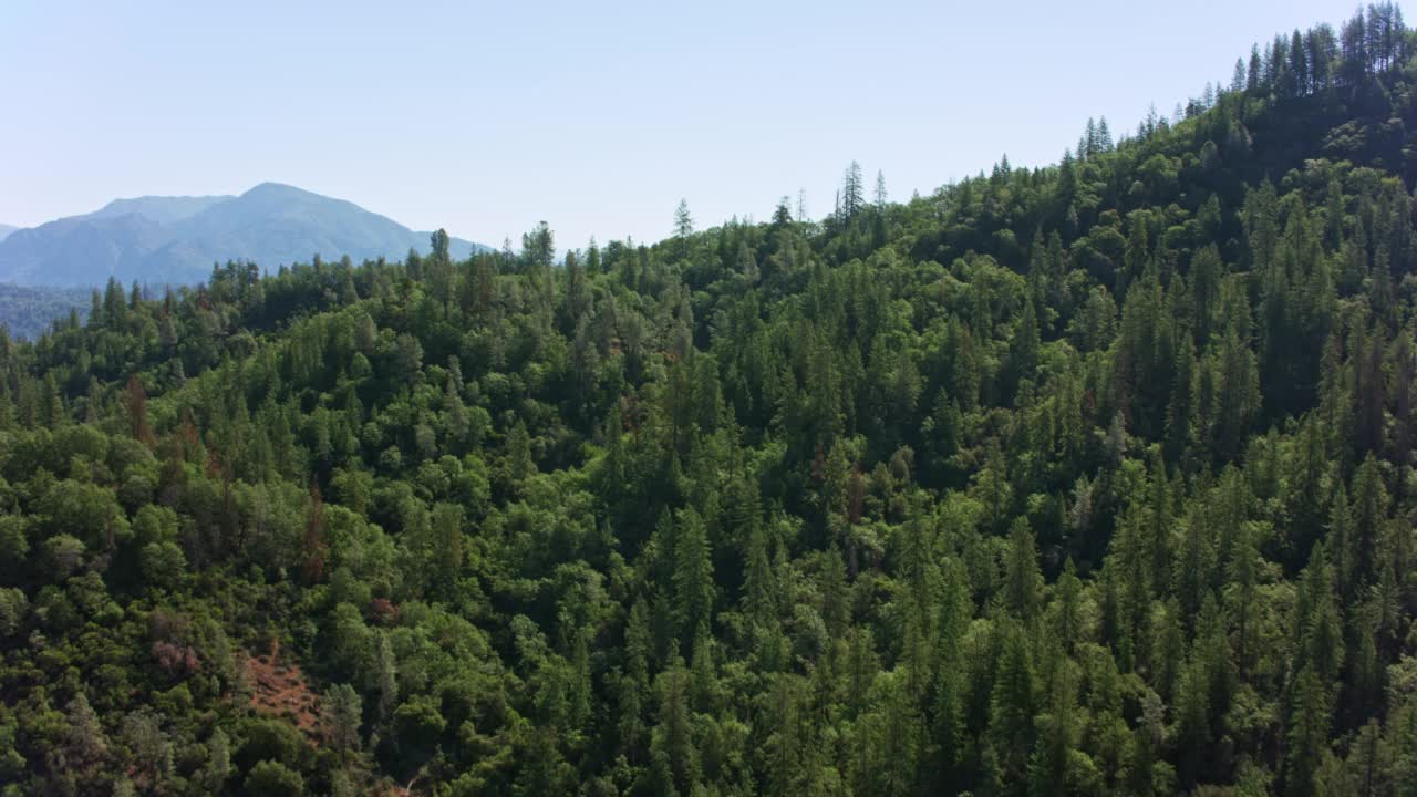 加利福尼亚州沙斯塔湖和皮特河桥上的空中海狸岛视频素材