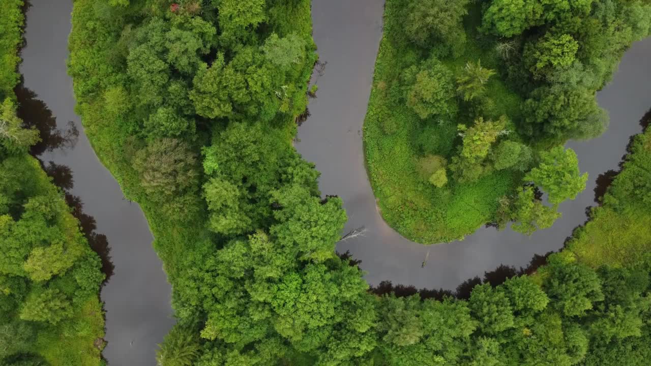 日光下河流穿过热带雨林的鸟瞰图视频素材