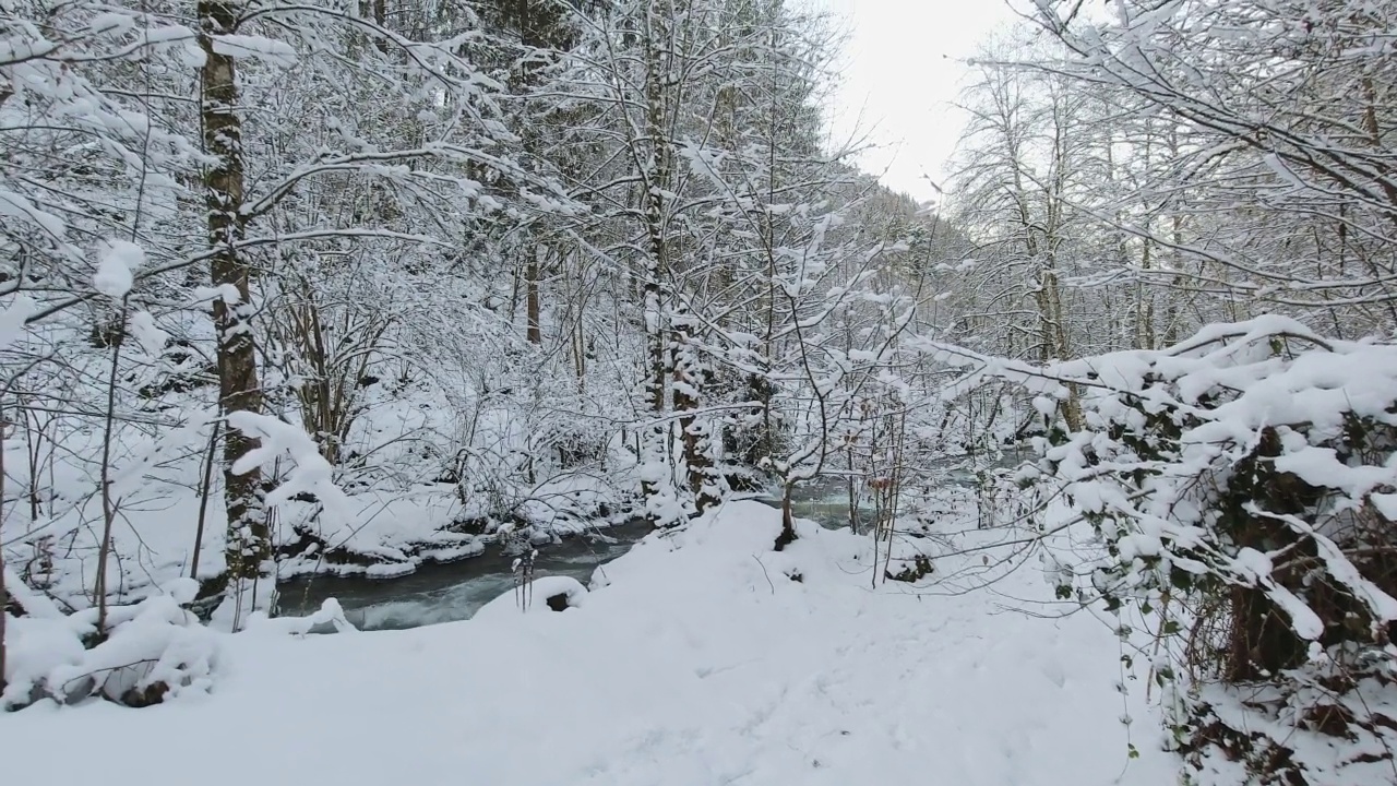 两个背着双肩包、穿着雪鞋的男人在冬季徒步旅行中行走。视频素材