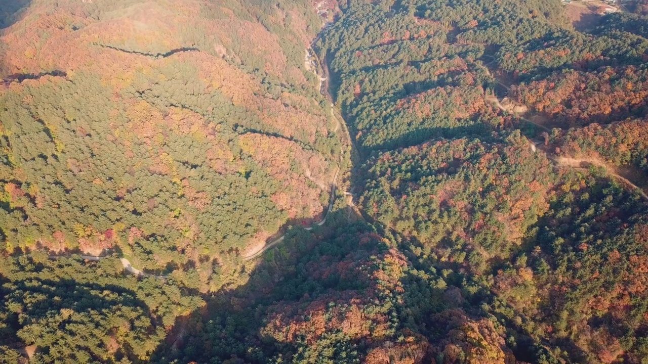 秋天的山、树、森林、道路和小径/京畿道抱川市，韩国视频素材