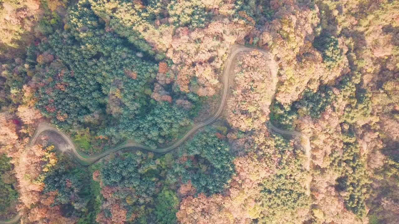 秋天的山、树、森林、道路和小径/京畿道抱川市，韩国视频素材