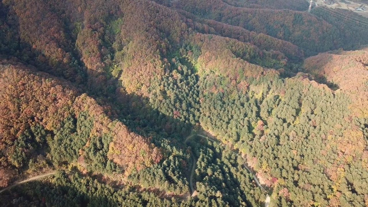 秋天的山、树、森林、道路和小径/京畿道抱川市，韩国视频素材