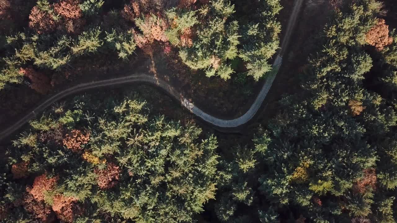 秋天的山、树、森林、道路和小径/京畿道抱川市，韩国视频素材