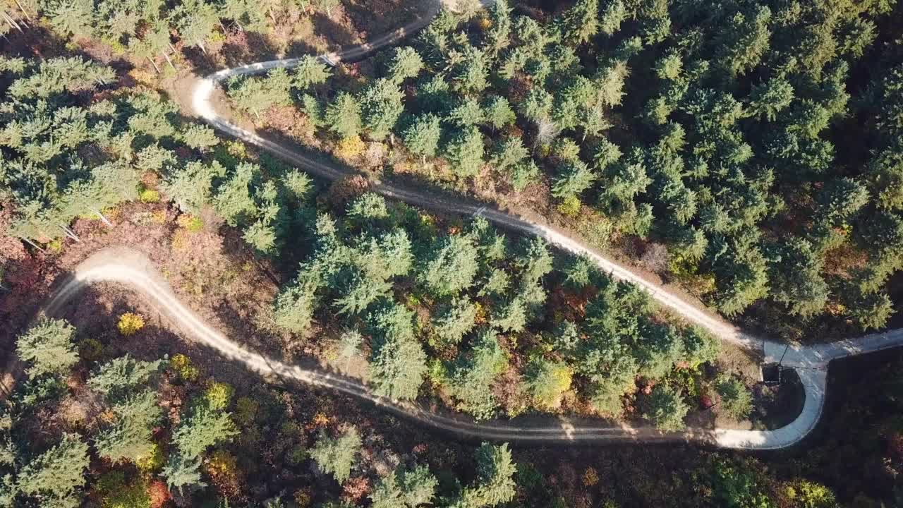 秋天的山、树、森林、道路和小径/京畿道抱川市，韩国视频素材