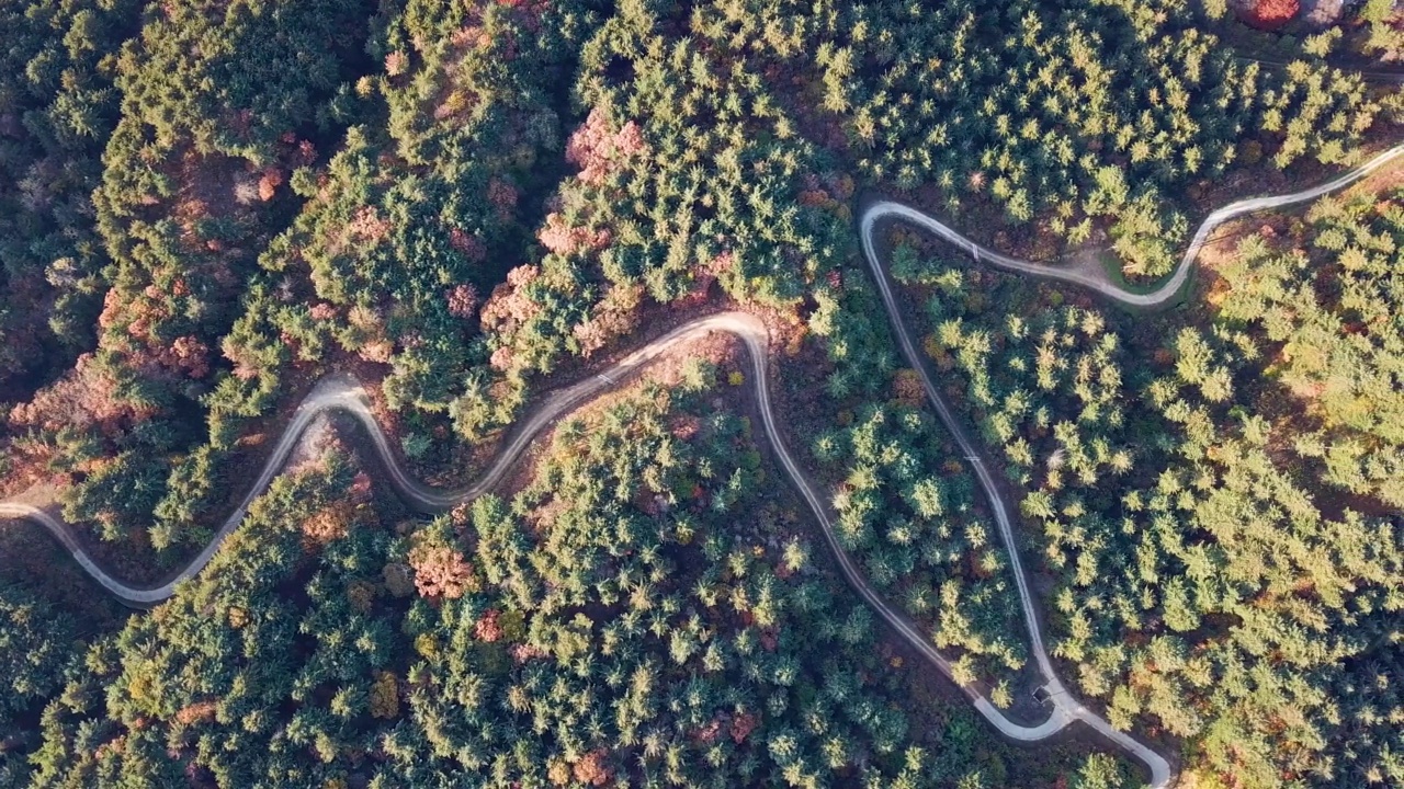 秋天的山、树、森林、道路和小径/京畿道抱川市，韩国视频素材